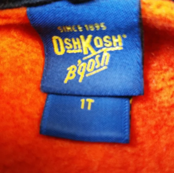 Oshkosh Pumpkin Hoodie - Picture 2 of 5